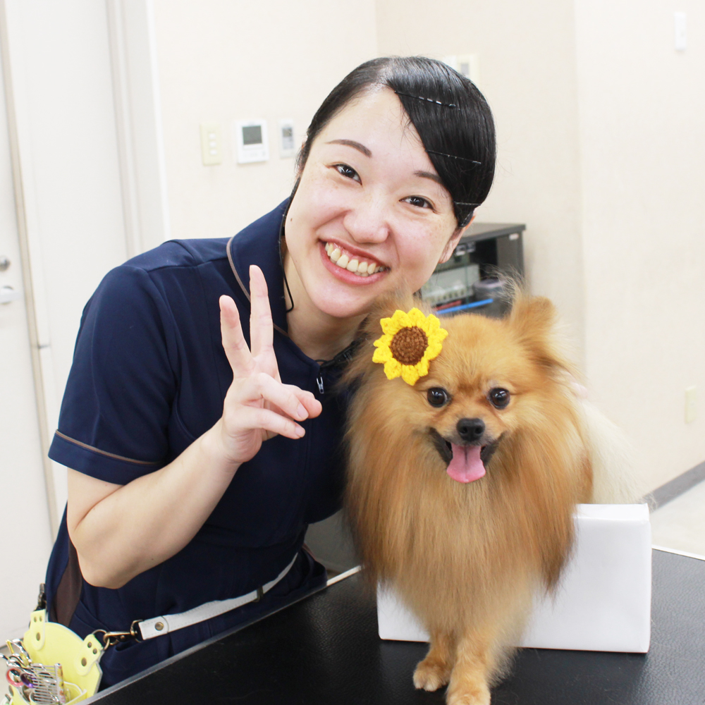 ☆１年生へ、先生の試技会Ｐａｒｔ①☆